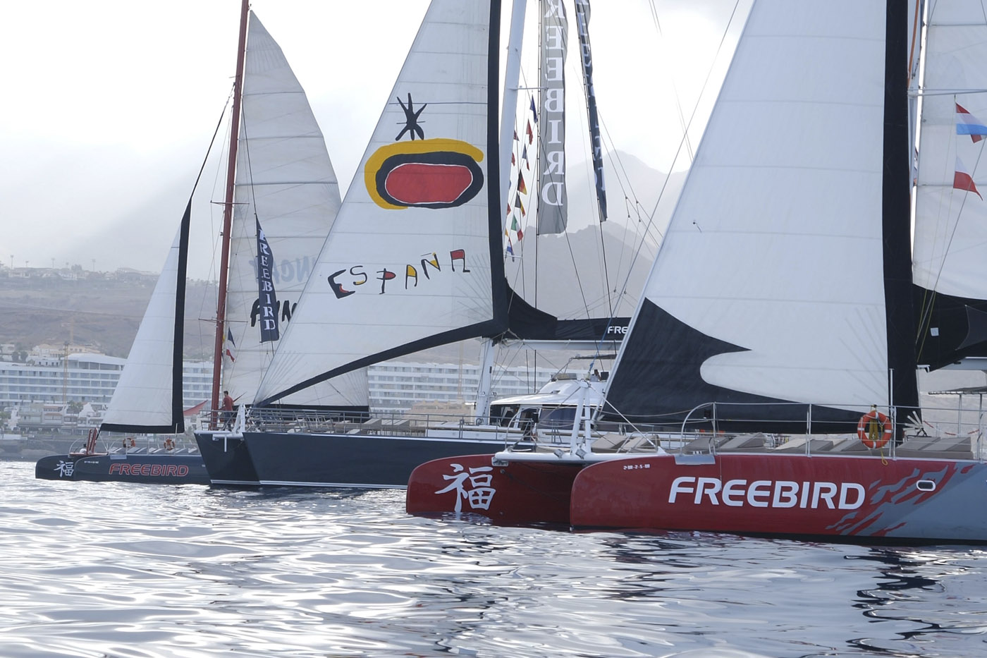 Incentive catamaran